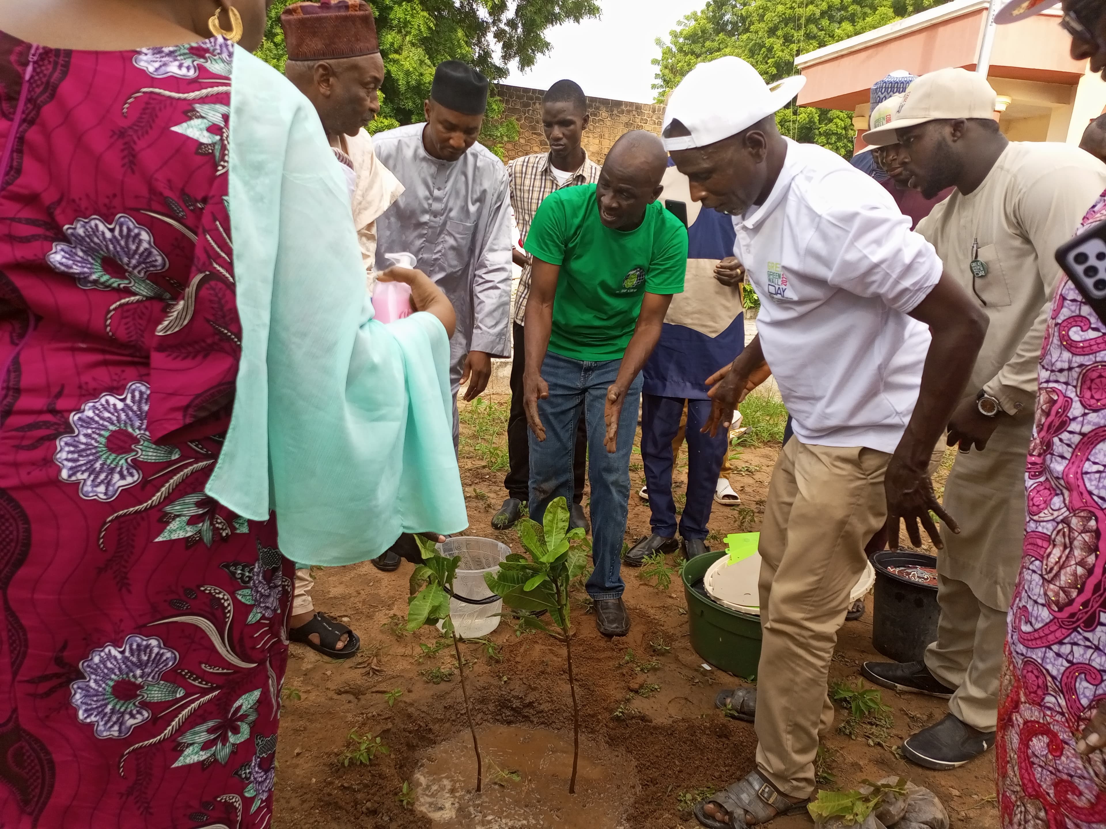 Nat’l agency for the Great Green wall creates awareness on desertification by planting trees in Adamawa