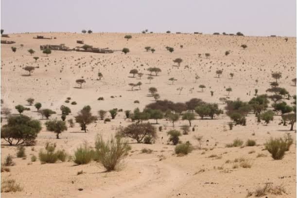 Environmental Conundrum in Northern Nigeria