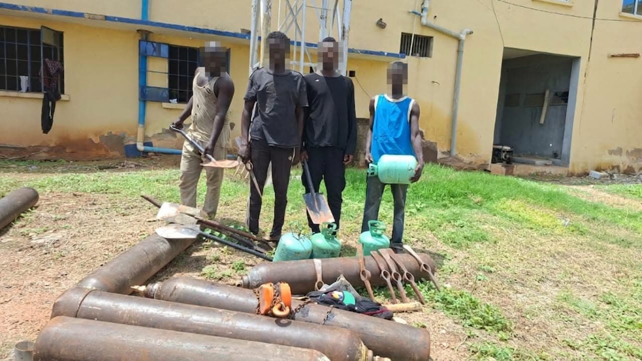 Police arrest seven, recover 285 vandalized NNPC pipelines in Adamawa