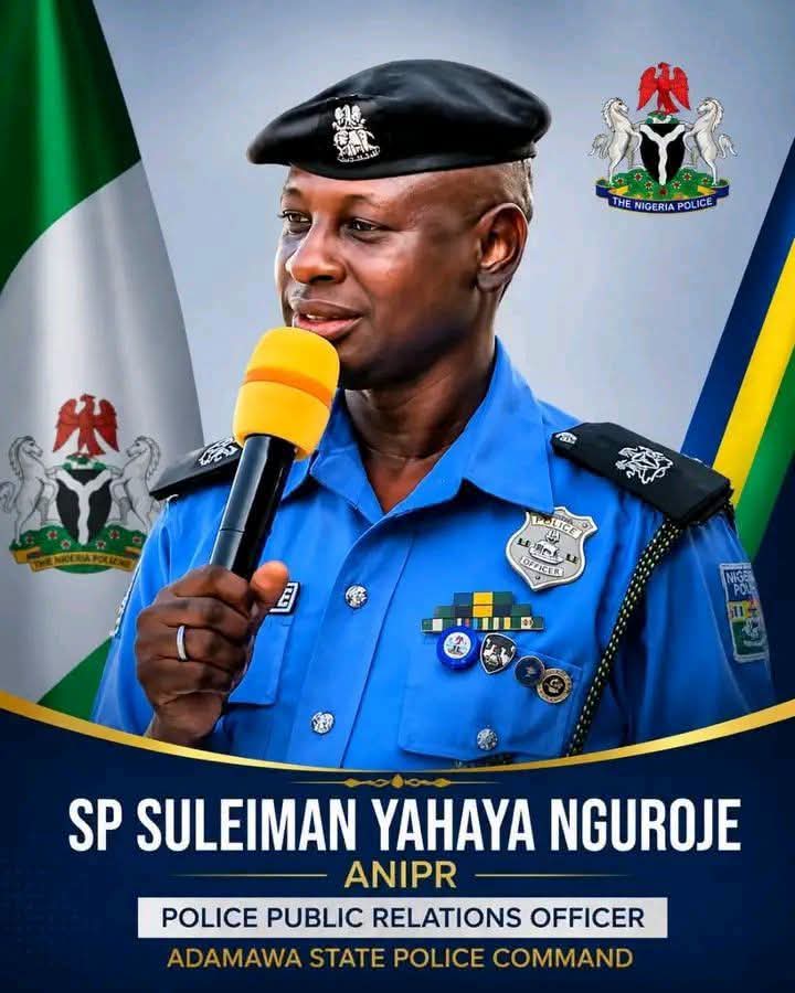 20-Year-Old Man Arrested for Allegedly Assaulting Mother in Adamawa