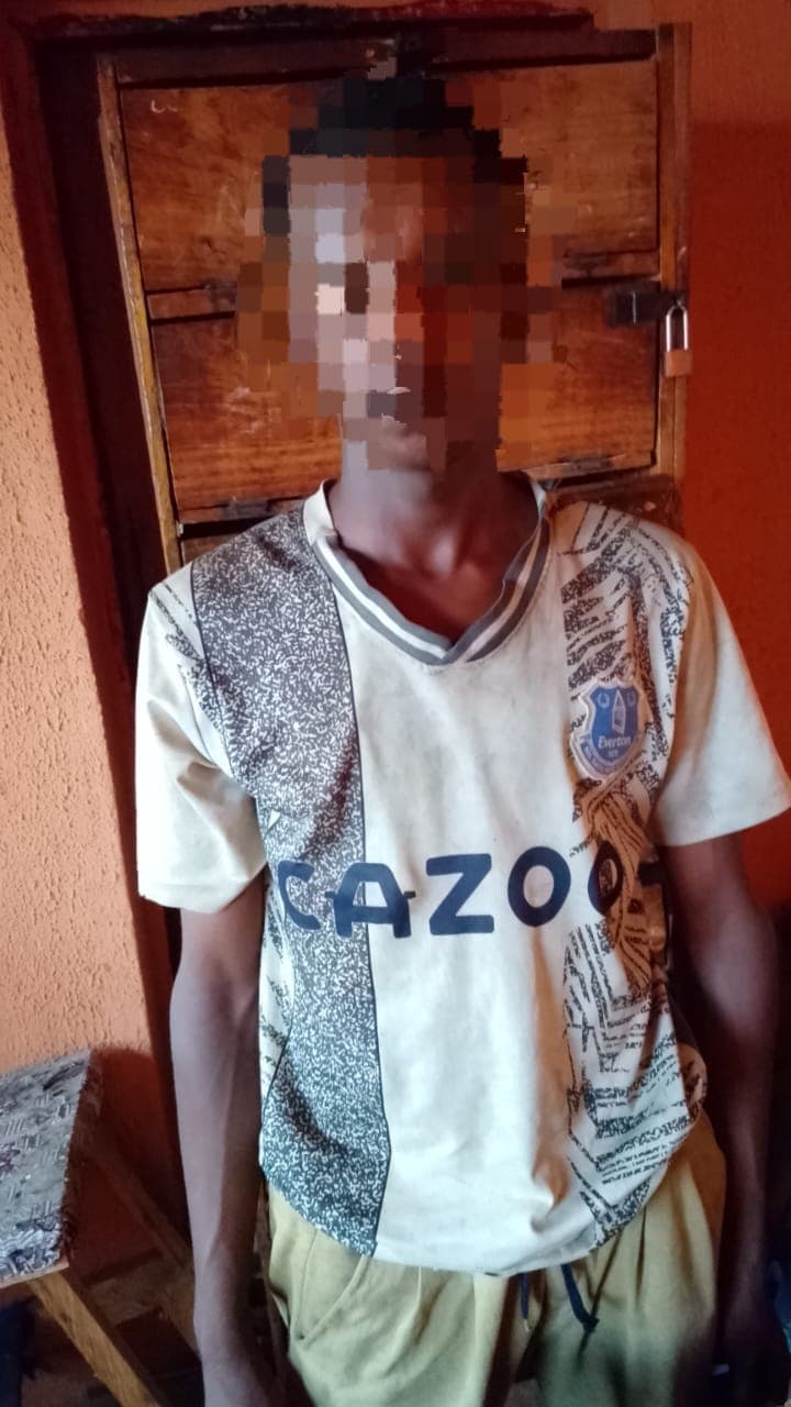 Adamawa Police Foil Attempted Abduction of Six-Year-Old Girl, Arrest Suspect