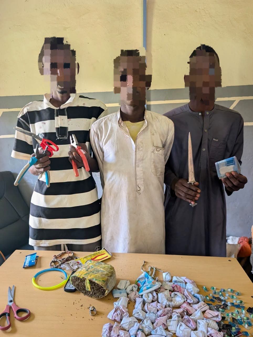 Adamawa Police Arrest Son, Two Others Over Alleged Robbery of Mother