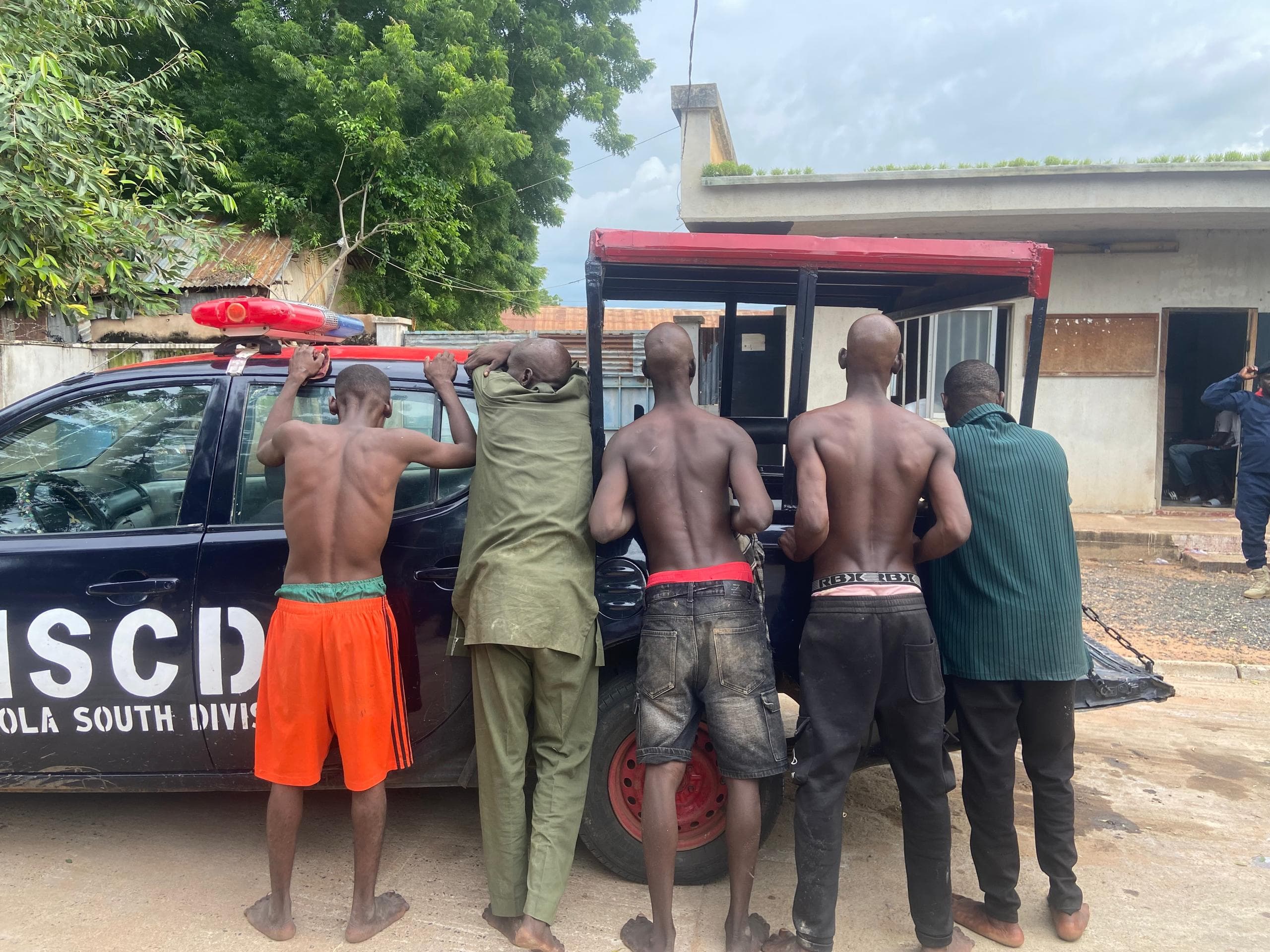 NSCDC Arrests Five Suspected Armed Robbers in Adamawa