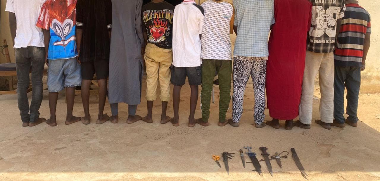 Adamawa Police Arrest 11 Suspected Shilla Gang Members, Recover Weapons